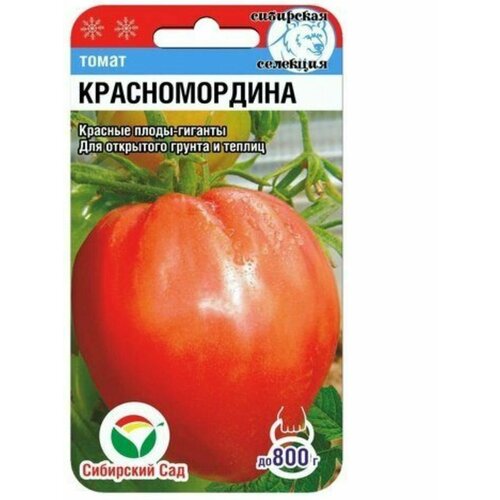 ������ ������ ������ ������� ������������� (1 �������� -20 �� �����) ����