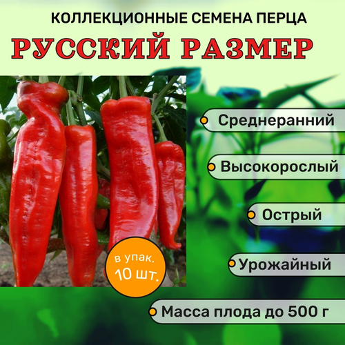 ������ ������ ������������� ������ ����� ������� ������� ������ ����