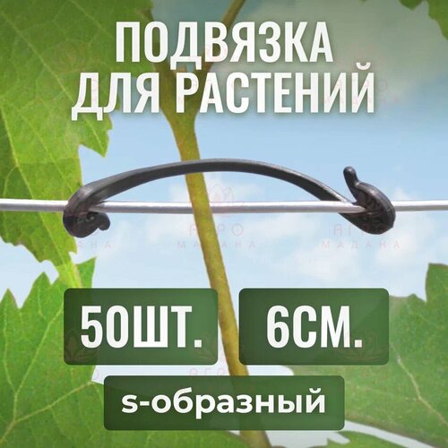 ������ ������ ������ ��� �������� ��������, s-��������, 6��, 50�� ����