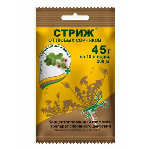 ������ ������ �������� �� �������� ����