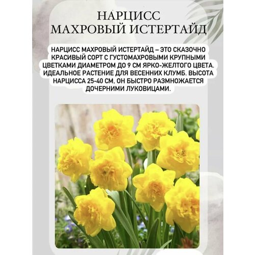 ������ ������ ������� ���������� ����� 3 �� ����