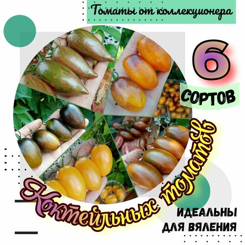 ������ ������ ����� �����, 6 ������ ����������� �������, ������� �������� ����