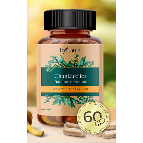 ������ ������ ���������������� �������� - ������� ������� � �������� 60 ��. ����