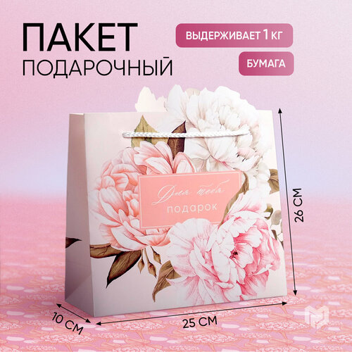 ������ ������ ����� ���������� ���� ���� �������, 25 ? 26 ? 10 �� ����