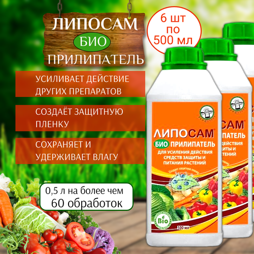 ������ ������ ��������� ����������� ������� 500 ��, 6 �� ����