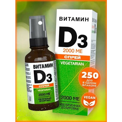 ������ ������ �������� �3 � ����� 2000 �� ���������� �������� ����