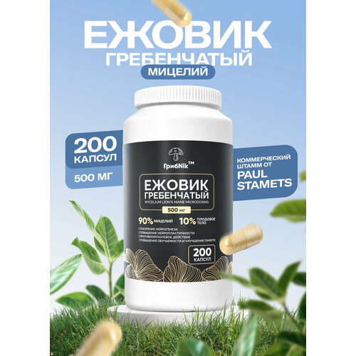 ������ ������ ������(������) ����������� ������� ����Nik - 500 �� � 200 ������ ����