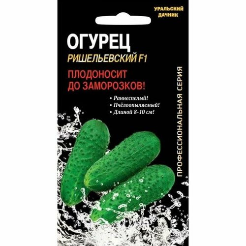 ������ ������ ������ ������ ������������ F1 8�� \ ���. �. �. ������� ����