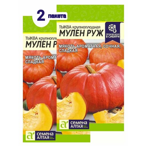 ������ ������ ������ ����� ����� ��� ����