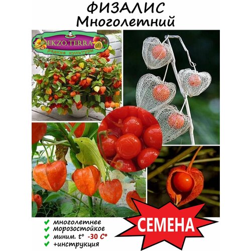 ������ ������ ������ ������� ����������� 