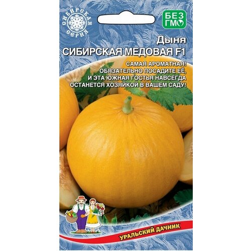 ������ ������ ������ ���� ��������� ������� 10�� ������ (��������� ������) ����