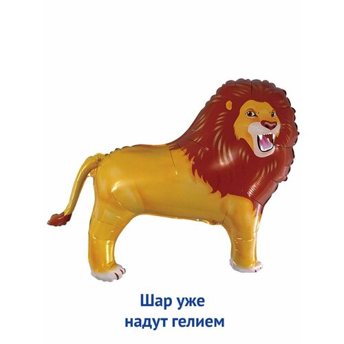 ������ ������ ��������� ��� � ������ �������������� ������ ��� ����