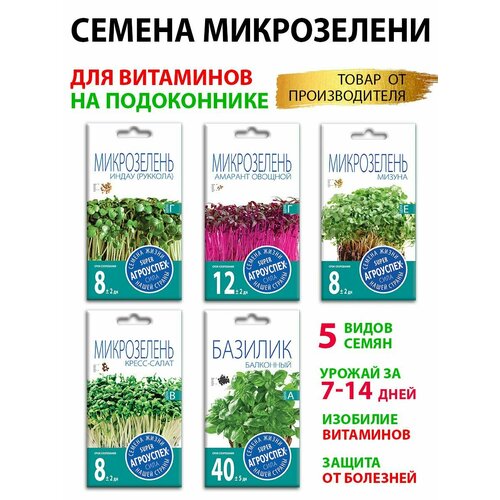 ������ ������ ����� ����� ������ 5 ������ ����