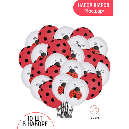 ������ ������ ��������� ��������� ���� ����� �������, 10�� ����