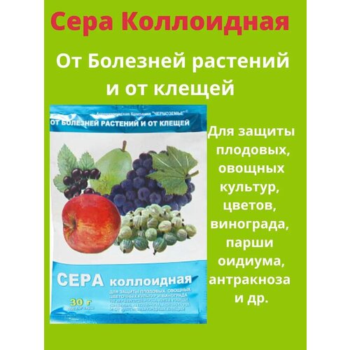 ������ ������ ���� ����������, �� �������� ��������. ����