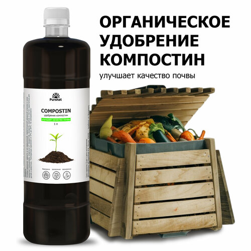 ������ ������ ���������� ��������������� ������ ��������� ��� �������� 1 � ����