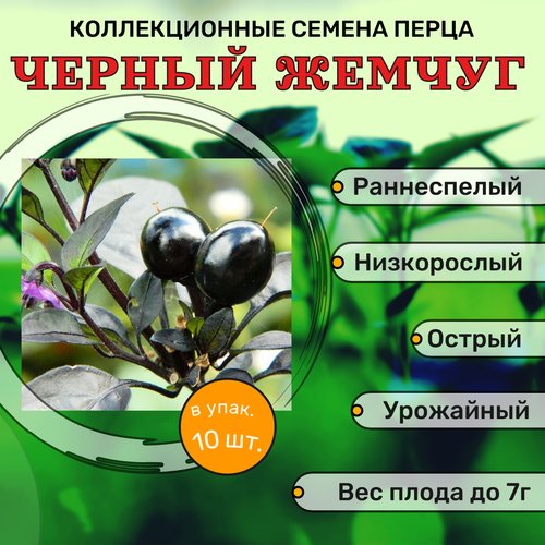 ������ ������ ������������� ������ ����� ������� F1 ������ ������ ����