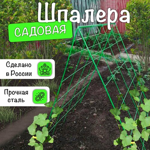 ������ ������ ������� ��� ������� �������, �������� ��������, ������ ����