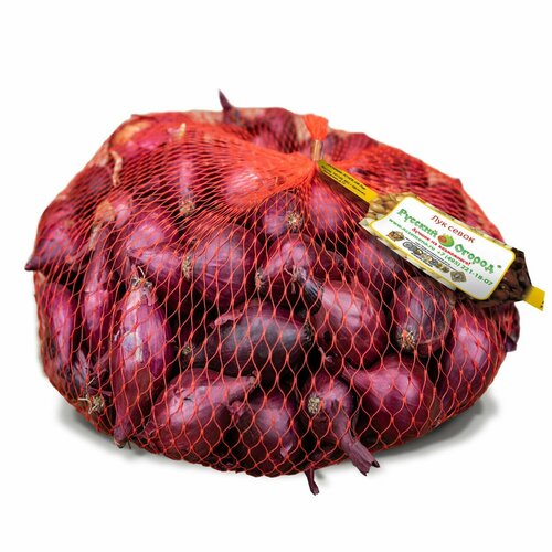 ������ ������ ���-����� ������ �� 22/30 (����� 0,5��) ������ ����