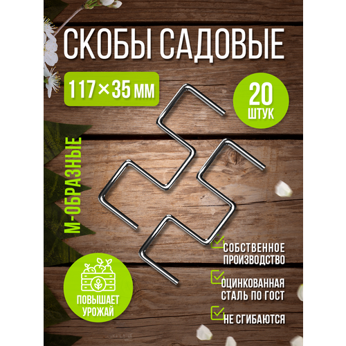 ������ ������ ����� ������� ��� �������� ����� �-�������� 20��. ����