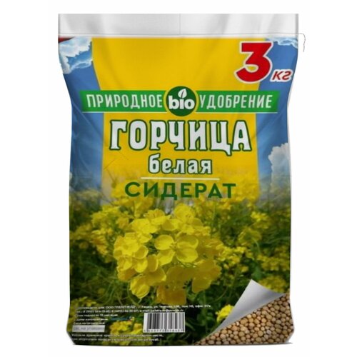 ������ ������ ������� ������ �������, ��� ������������, ������, �����������, ������� 3 ��. ����