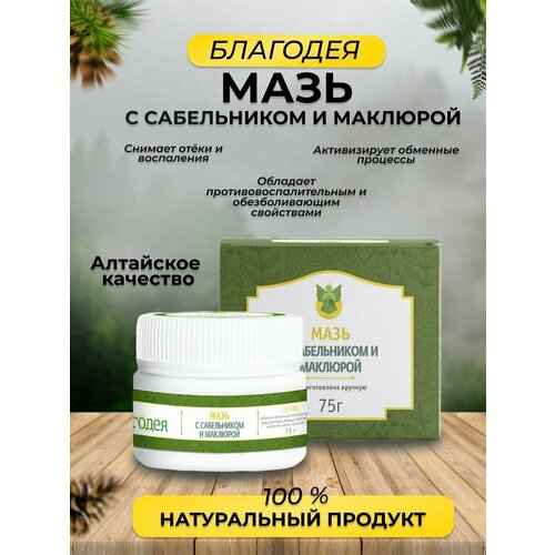 ������ ������ ���� � ����������� � �������� ��������-����� 75 �� ����