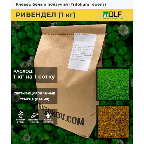 ������ ������ ������ ������ ������ ����� �������� (1 ��) ����