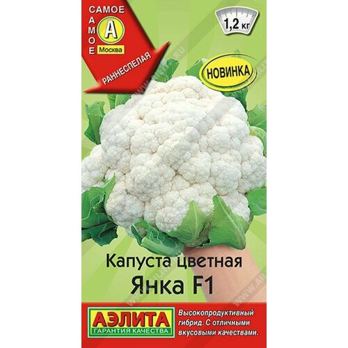 ������ ������ ������� ������� ���� F1 ����