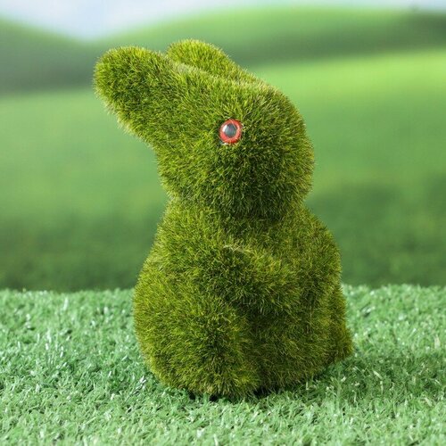 ������ ������ ������ 