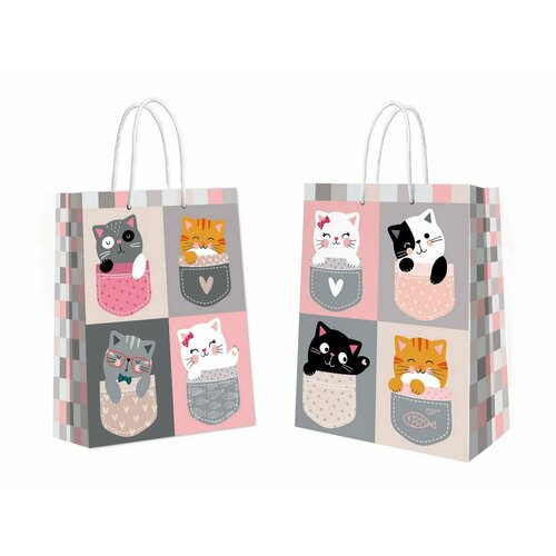 ������ ������ ����� ���������� ND Play ����� � ��������� 335�406�155 �� ����