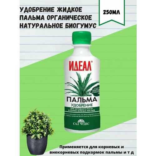 ������ ������ ��������� ������ 250��,