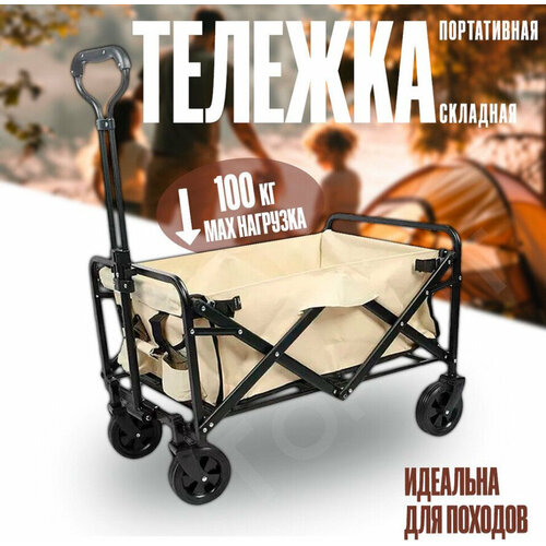 ������ ������ ������� �������� ��� �������� ����