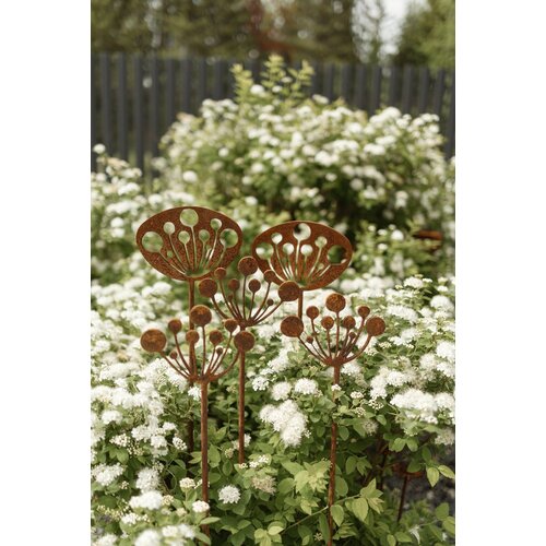 ������ ������ ������� ����� ����� ������� ����