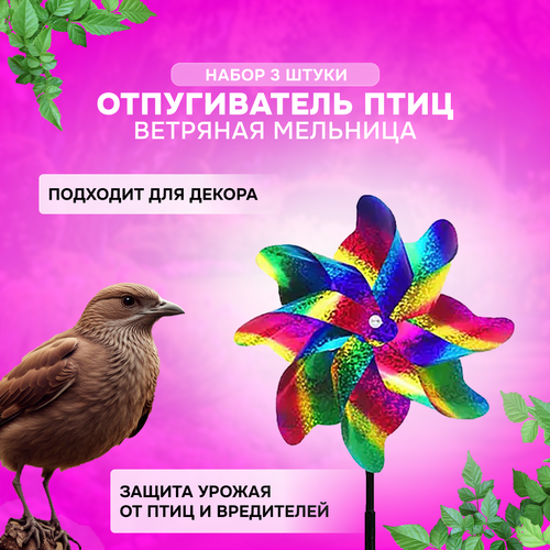 ������ ������ ������� ������ ������������ ��� ���� ��� ���� / �������� �������� ��� ���� - ����� 3 ����� ����