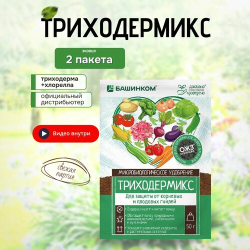 ������ ������ ���������� �������� ��������� ������������ 2 �� ����