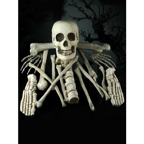 ������ ������ ����� ������� �� �������� ��������� ����� ������ ����