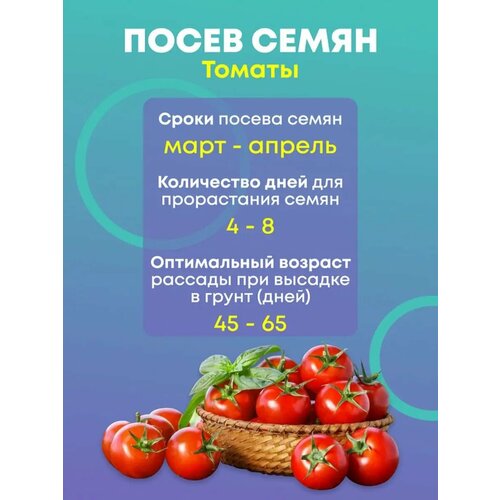 ������ ������ ����� ����� ���������� 20 ����� (��� ���) ����