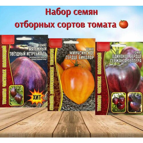 ������ ������ ����� ����� �������� ����� ������� 3 ��. ����