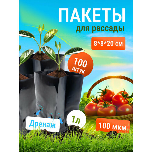 ������ ������ ������ ��� ������� DeJuDo, 1�. 100��. ����