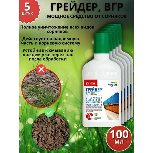 ������ ������ ������ �������� �������� �� �������� �������, ��� 100 �� 5 �� ����