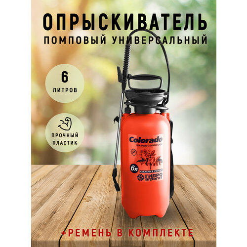 ������ ������ ������������� ������� �������� 6 � ����