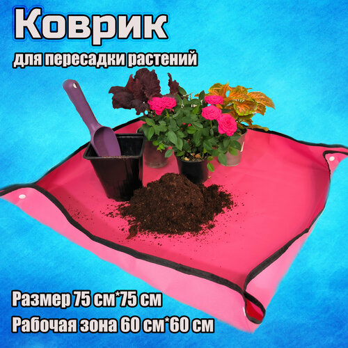 ������ ������ ������ ������ ��� ������� - ������ 75�75 ����