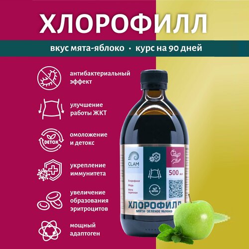 ������ ������ ������ ������� ��������� ������ ������� ��� ��������� � ����������, 500 ��. (���) �� ������ ����-������� ������. 100 ������. ClamPharm ����