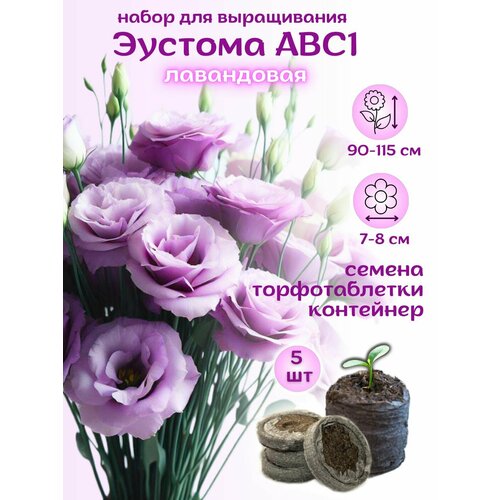 ������ ������ ������ ������� ������������ ���������� + �������� �������� Jiffy, 5��, ����� ��� ����������� ����