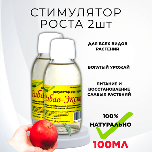 ������ ������ ��������� ����� ������ ��������� ���������� ����� �������� 100 ��, 2 �� ����