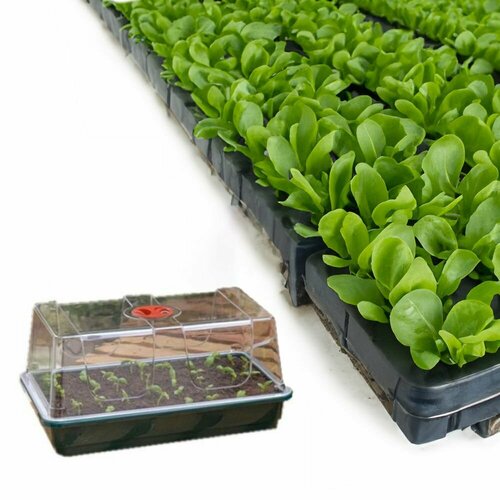 ������ ������ �������� Garland MINI GROW BOX (SEMI-RIGID MEDIUM - G134) ����