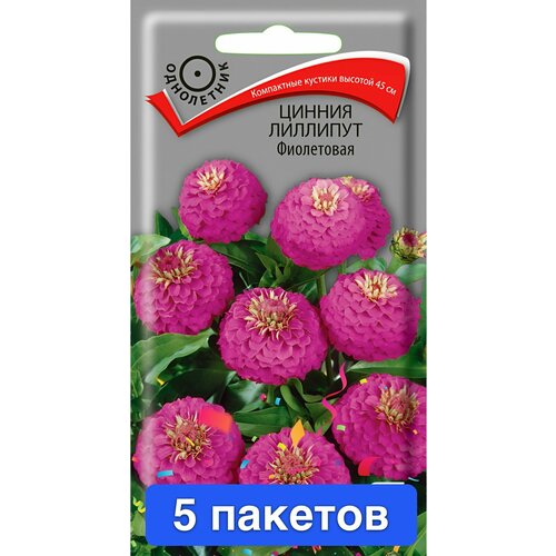 ������ ������ ����� ������ �������� ���������� 5 ������� ����