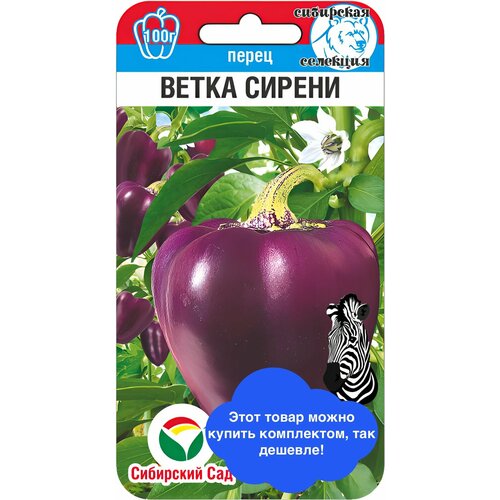 ������ ������ ������ ������ ��������� ��� 