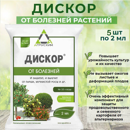 ������ ������ ������ ��� ������ � ��������� �������� 5 �� �� 2�� ����