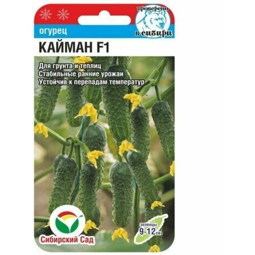 ������ ������ ������ ������� ������ (1 ����� -7 �����) ����